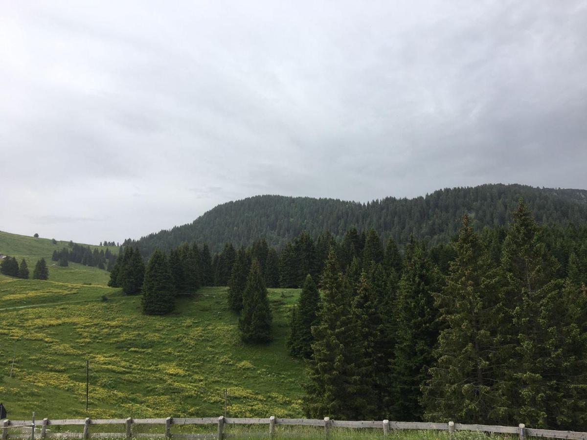 Rifugio Garibaldi 莱德罗 外观 照片